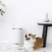 衝撃！中国の家電・ライフスタイルメーカーxiaomi(シャオミ)が犬猫用自動給餌器を販売